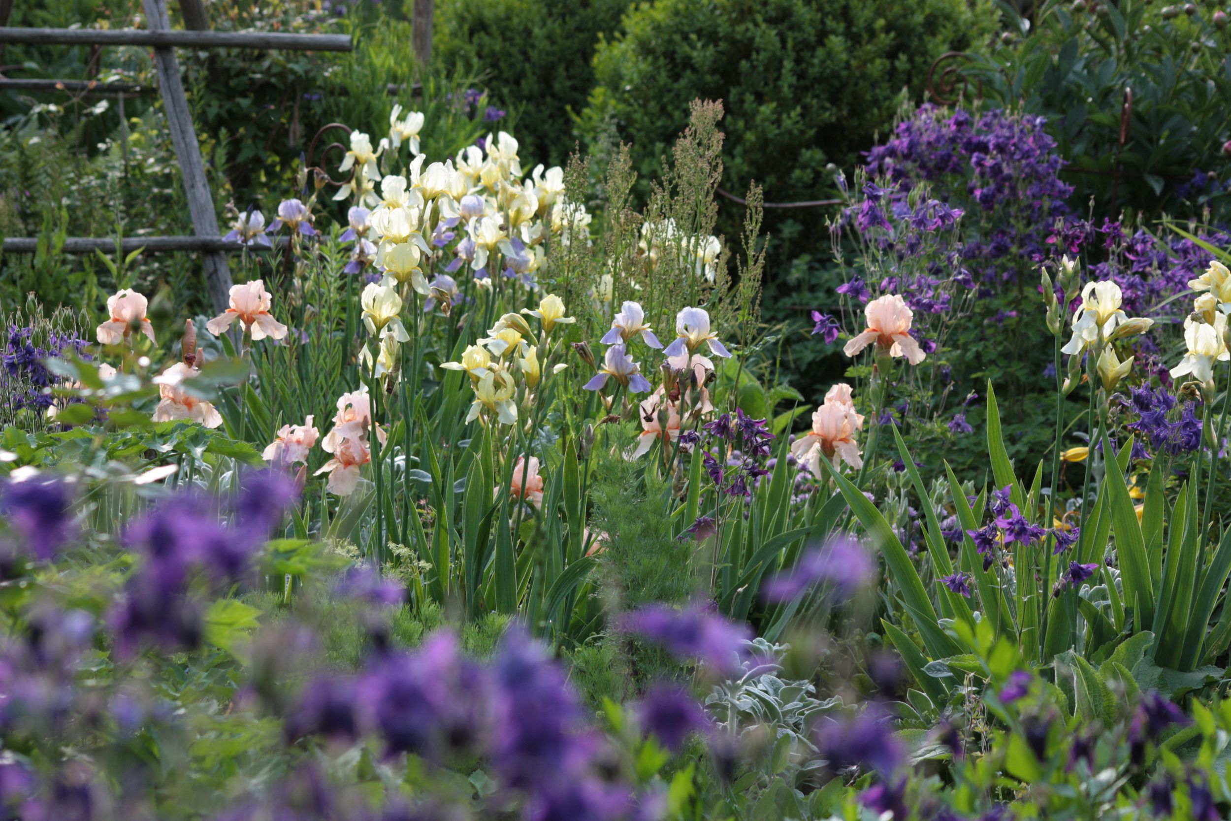 Mein Garten Mein Garten der vier Jahreszeiten
